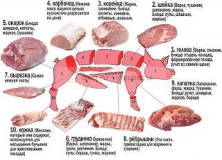 Части свиньи при разделке на картинке названия